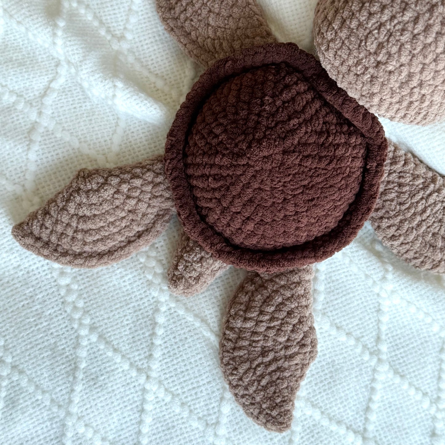 Finley the Turtle - Two Elephants